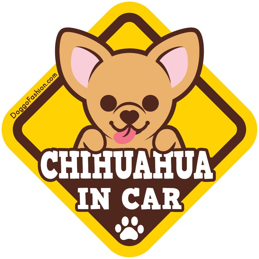 CHIHUAHUA IN CAR